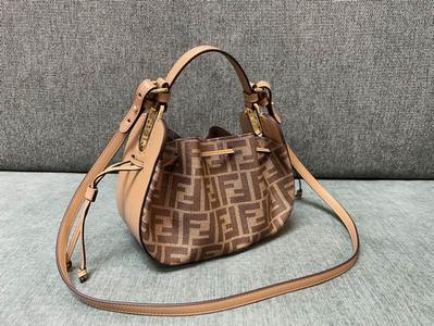 Fendi Handbags 313